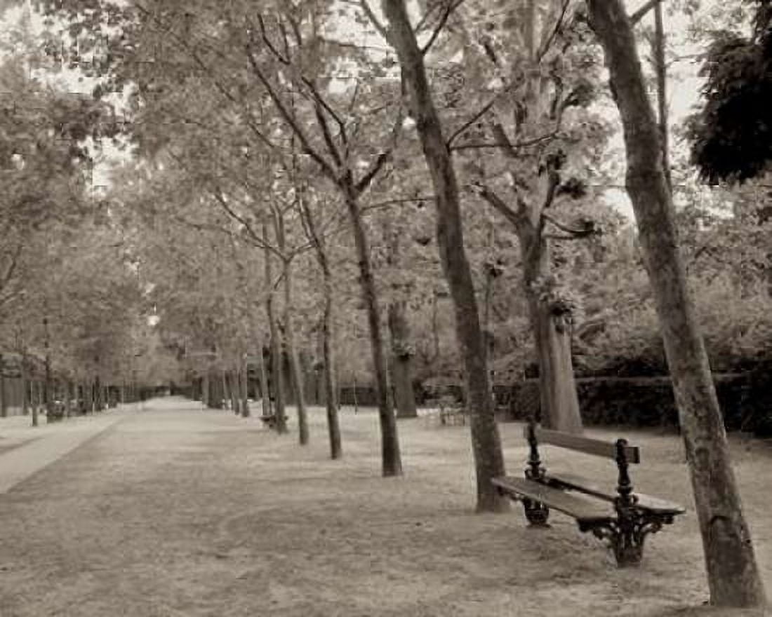 Banc de Jardin - 44 Canvas Art - Alan Blaustein (24 x 30)
