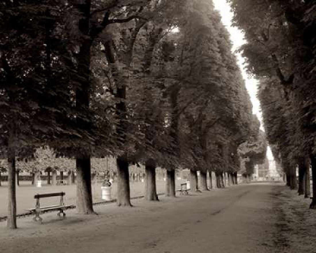 Banc de Jardin - 47 Canvas Art - Alan Blaustein (24 x 30)