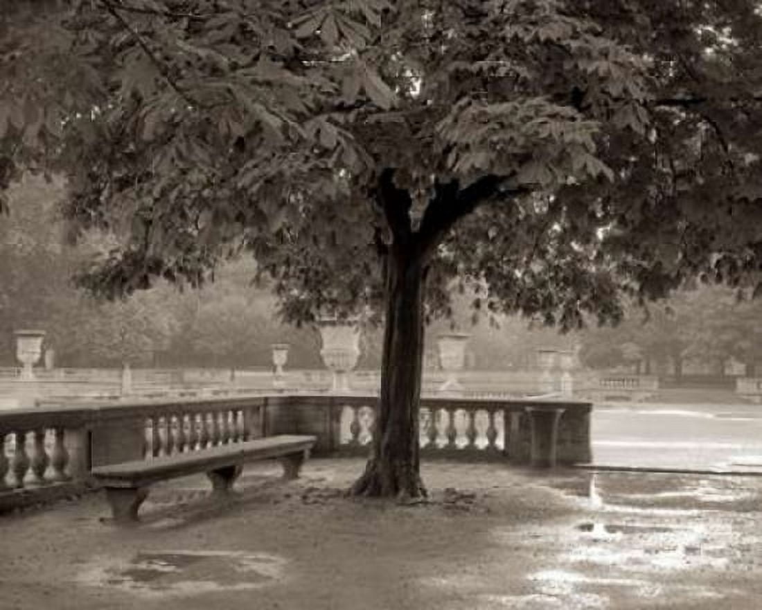 Banc de Jardin - 65 Canvas Art - Alan Blaustein (24 x 30)