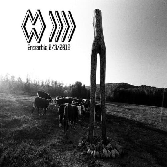 Band Whose Name Is a Symbol - Ensemble 8 3 2016 - Music & Performance - Vinyl