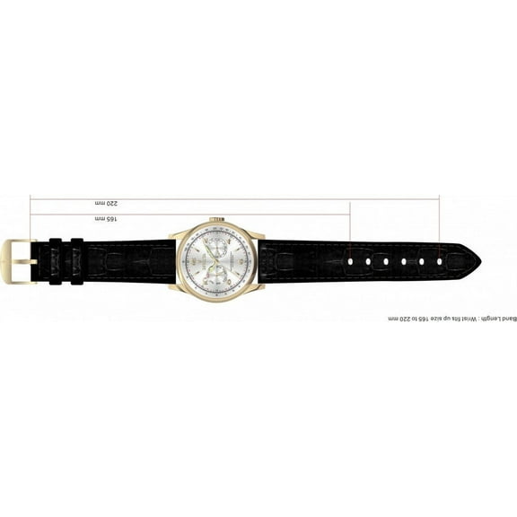 Band for Invicta Vintage 6753