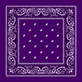 thumbnail image 1 of Bandana Double-Sided Print Cotton Bandana Paisley Purple, 1 of 1