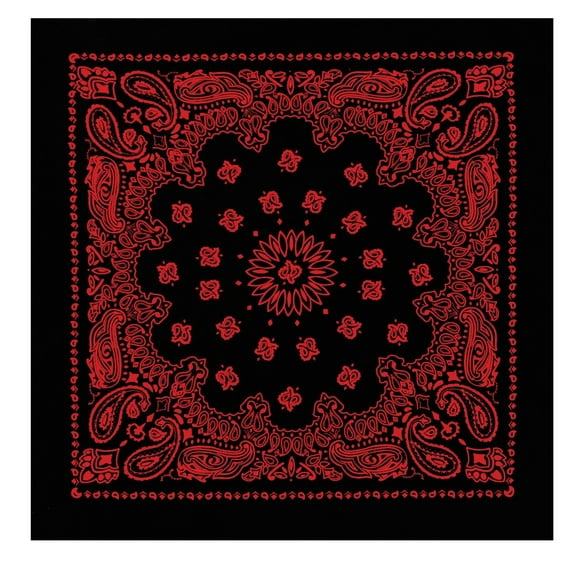 Bandanna Co Austin Paisley, Black/Red, 27" x 27" (3rd)