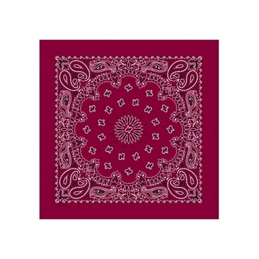 Bandanna Co Paisley, Burgundy, 22" x 22" (2nd)