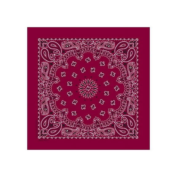 Bandanna Co Paisley, Burgundy, 22" x 22" (2nd)