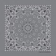 thumbnail image 1 of Bandanna Co Paisley, Charcoal, 22" x 22" (4th), 1 of 1