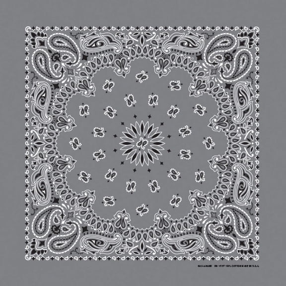 Bandanna Co Paisley, Charcoal, 22" x 22" (4th)