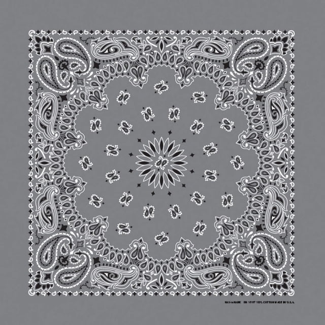 Bandanna Co Paisley, Charcoal, 22" x 22" (4th)