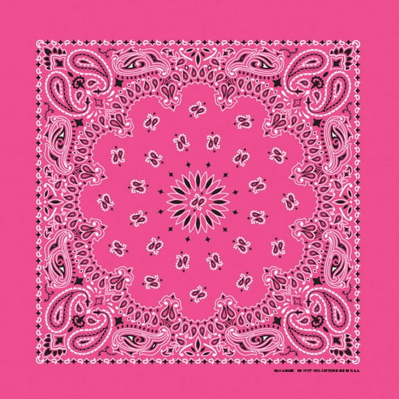 Bandanna Co Paisley, Fuchsia, 22" x 22" (3rd)
