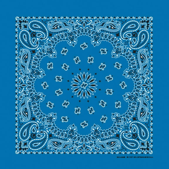 Bandanna Co Paisley, Mirage Blue, 22" x 22" (3rd)