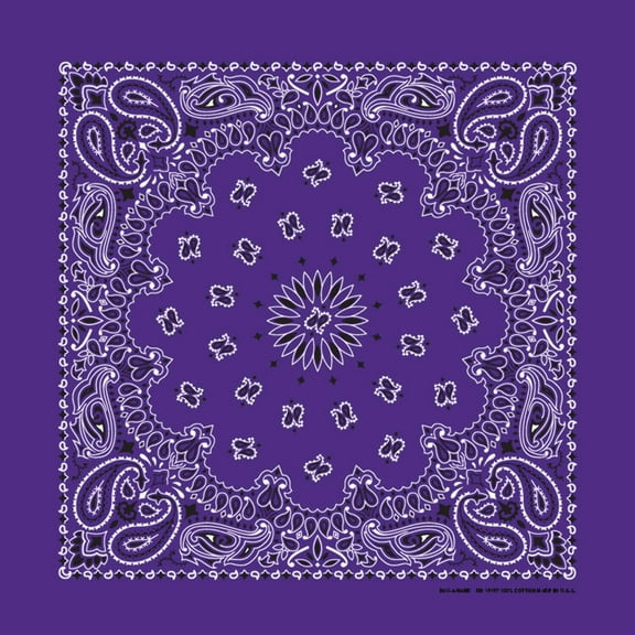Bandanna Co Paisley, Purple, 22" x 22" (3rd)