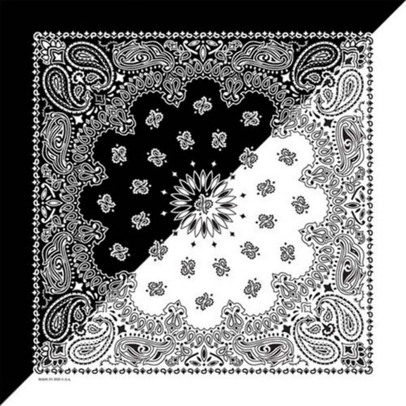 Bandanna Co Paisley Split, White/Black, 22" x 22" (2nd)
