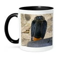 thumbnail image 1 of Banded Spitting Cobra Snake, South Africa - Na02 Dno0726 - David Northcott, 15oz Two-Tone Black Mug, 1 of 7