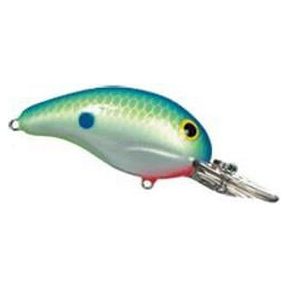  BANDIT LURES Crankbait Series 100 200 & 300 Bass Fishing Lures,  Parrot/Orange, Series 300 (Dives to 12'), (BDT322-SPEC) : Fishing Diving  Lures : Sports & Outdoors