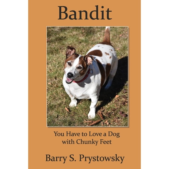 Bandit: You Have to Love a Dog with Chunky Feet, (Paperback)