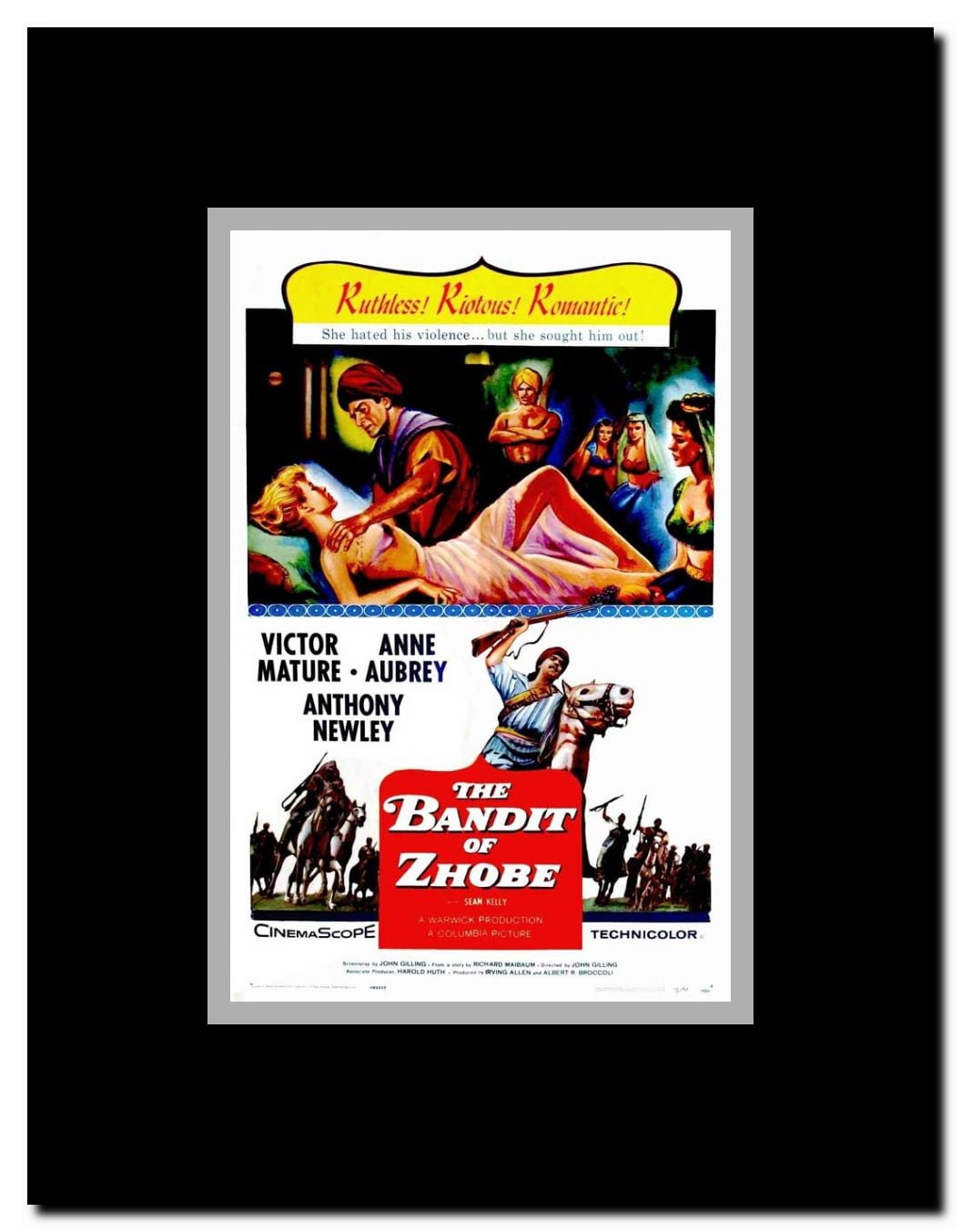 Bandit of Zhobe Framed Movie Poster