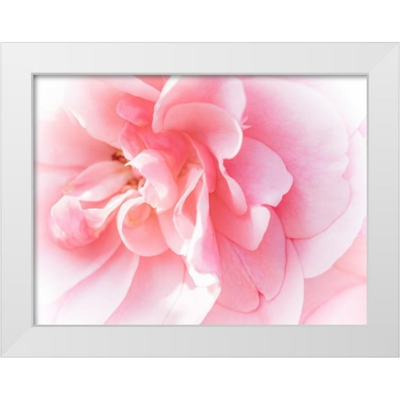 Bane, Eva 14x12 White Modern Wood Framed Museum Art Print Titled - Pretty Pink Blooms IV