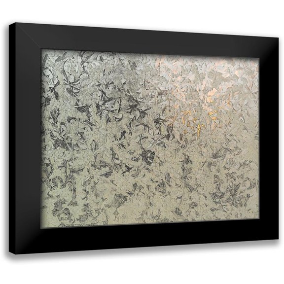 Bane, Eva 24x19 Black Modern Framed Museum Art Print Titled - Frosty I