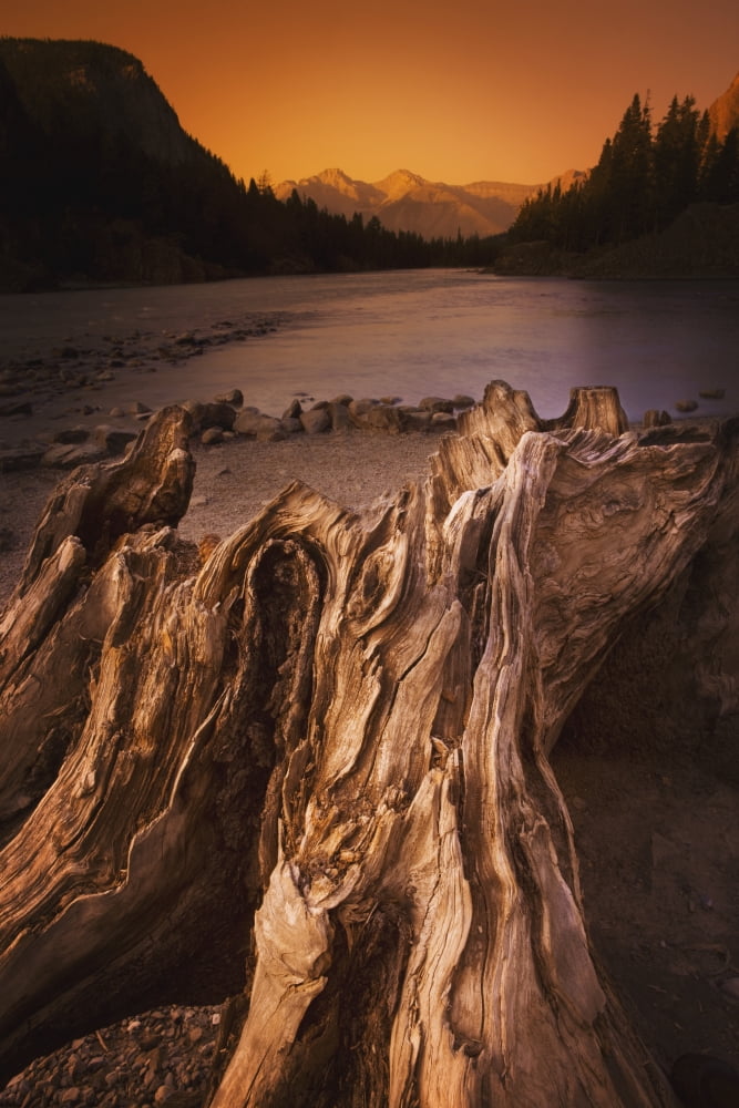 Banff Alberta Canada Driftwood And A Mountain River At Sunset Canvas Art - Darren Greenwood Design Pics (12 x 19)