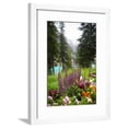 thumbnail image 1 of Banff Flowers In National Park Nature Photo Poster, Framed Art Print Wall Art Sold by Art.Com, 1 of 6