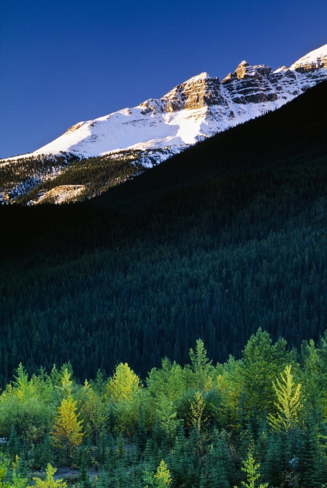 Banff National Park Alberta Canada Canvas Art - Bilderbuch Design Pics (24 x 36)