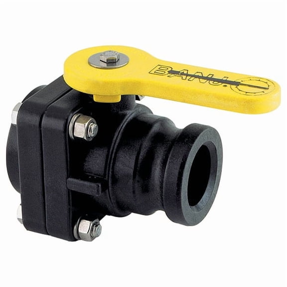 Banjo Manual 2-Way Ball Valve,NPT,Polypro VSF200