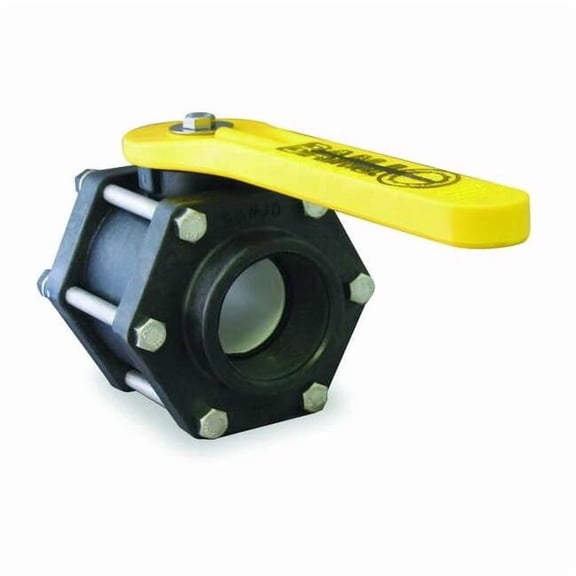 Banjo 2" FNPT Polypropylene Ball Valve Inline, Port: Full V200FP