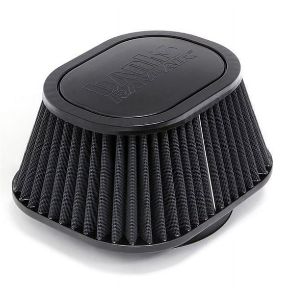 Banks B76-42138D Dry Air Filter