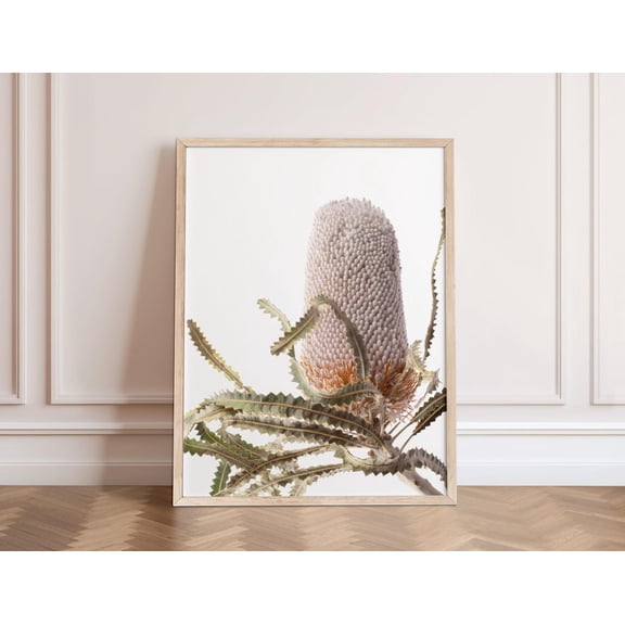 Banksia Print, Australian Native Photography Flower Wall Art Yellow Flower Print Australian Flowers Botanical Native Print Home Decor #4067, Unframed Poster Size 16x24
