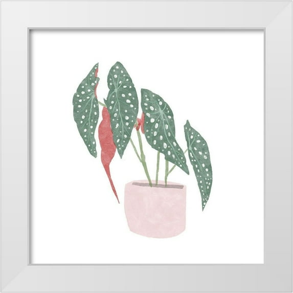 Bannarot 12x12 White Modern Wood Framed Museum Art Print Titled - Polka Dot Begonia IV