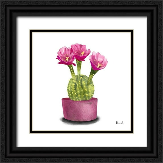 Bannarot 15x15 Black Ornate Wood Framed with Double Matting Museum Art Print Titled - Cactus Flowers V