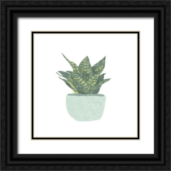 Bannarot 15x15 Black Ornate Wood Framed with Double Matting Museum Art Print Titled - Snake Plant IV