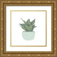 thumbnail image 1 of Bannarot 15x15 Gold Ornate Wood Framed with Double Matting Museum Art Print Titled - Snake  Plant IV, 1 of 4