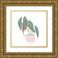 thumbnail image 1 of Bannarot 20x20 Gold Ornate Wood Framed with Double Matting Museum Art Print Titled - Polka Dot Begonia IV, 1 of 4