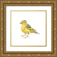 thumbnail image 1 of Bannarot 26x26 Gold Ornate Wood Framed with Double Matting Museum Art Print Titled - Songbird  I, 1 of 4