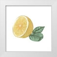 thumbnail image 1 of Bannarot 26x26 White Modern Wood Framed Museum Art Print Titled - Citrus Limon IV, 1 of 4