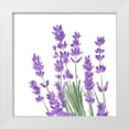 thumbnail image 1 of Bannarot 26x26 White Modern Wood Framed Museum Art Print Titled - Wildflower  Group II, 1 of 4