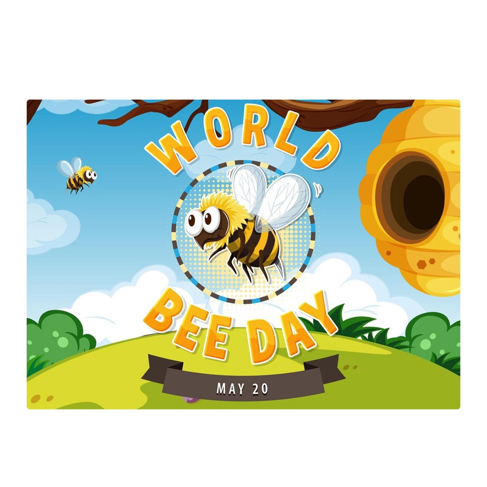 Banners for Room Cool Flags for Room Teen Girls Flag Football Belts