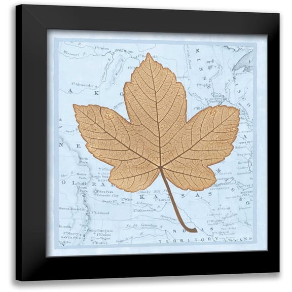 Bannister, Cory 12x12 Black Modern Framed Museum Art Print Titled - Natures Profile C