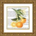thumbnail image 1 of Bannister, Cory 15x15 Gold Ornate Wood Framed with Double Matting Museum Art Print Titled - Citrus Edition II, 1 of 4