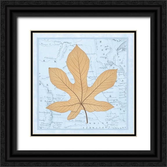 Bannister, Cory 26x26 Black Ornate Wood Framed with Double Matting Museum Art Print Titled - Natures Profile A