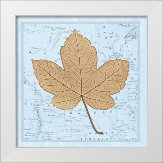 Bannister, Cory 26x26 White Modern Wood Framed Museum Art Print Titled - Natures Profile C