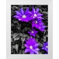 thumbnail image 1 of Bannon, Heidi 15x18 White Modern Wood Framed Museum Art Print Titled - Purple and Grey Clematis, 1 of 4