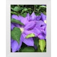 thumbnail image 1 of Bannon, Heidi 25x32 White Modern Wood Framed Museum Art Print Titled - Clematis, 1 of 4