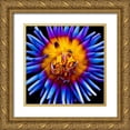 thumbnail image 1 of Bannon, Heidi 26x26 Gold Ornate Wood Framed with Double Matting Museum Art Print Titled - Color Pop Deep, 1 of 4