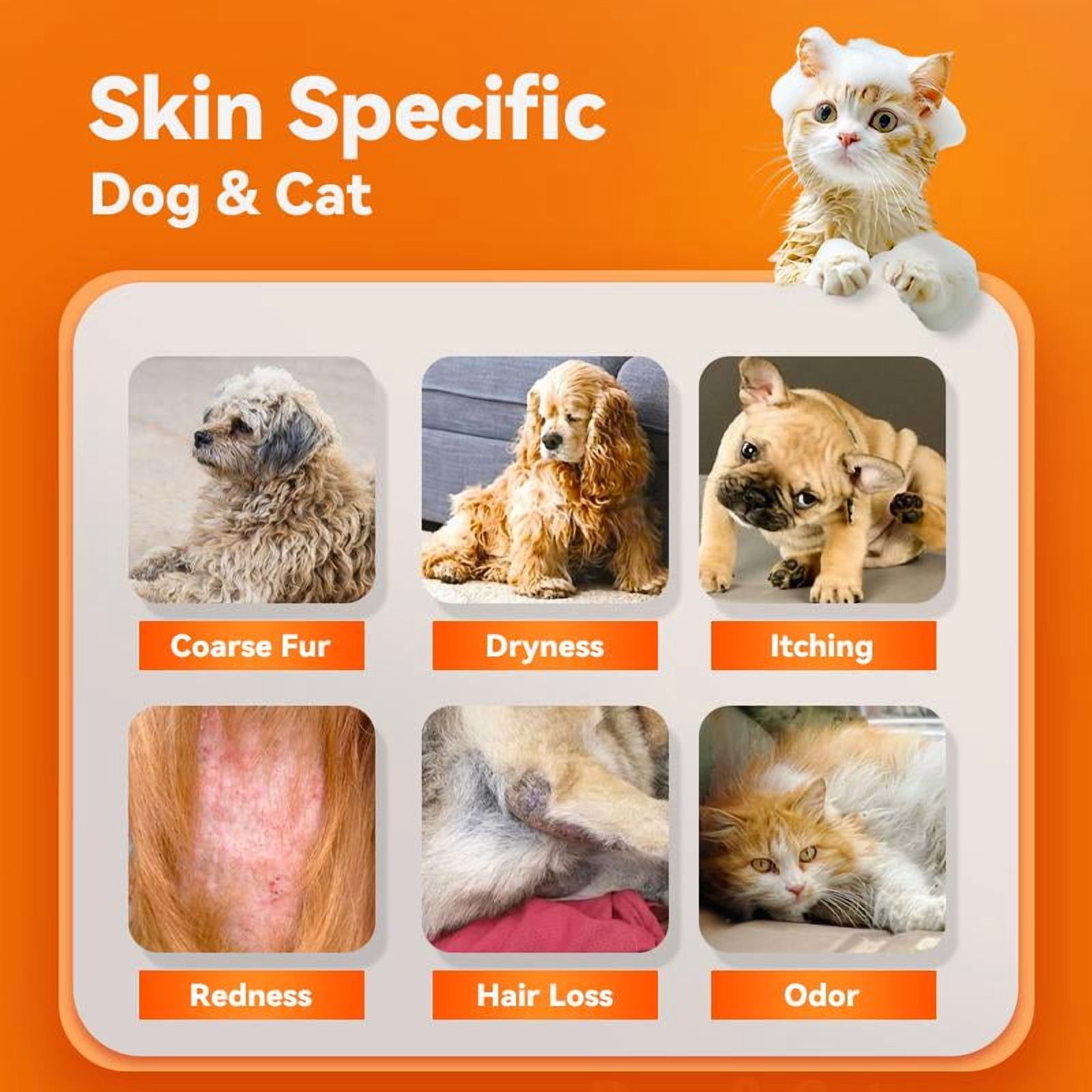 How to Relieve Dogs Itching Skin: Proven Solutions