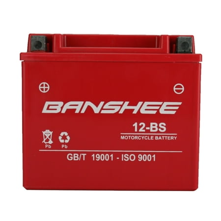 Banshee 12-BS Motorsports Battery Compatible with Kymco People S 250