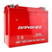 Banshee Powersports AGM Series 12 V Automotive Battery, Group Size, 295 CCA for Harley-Davidson Motorcycle