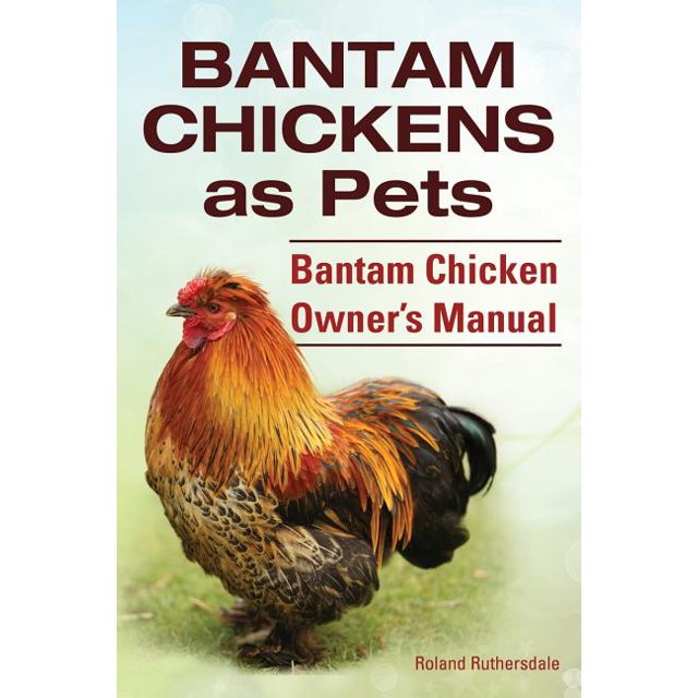 Bantam Chickens. Bantam Chickens as Pets. Bantam Chicken Owner's Manual