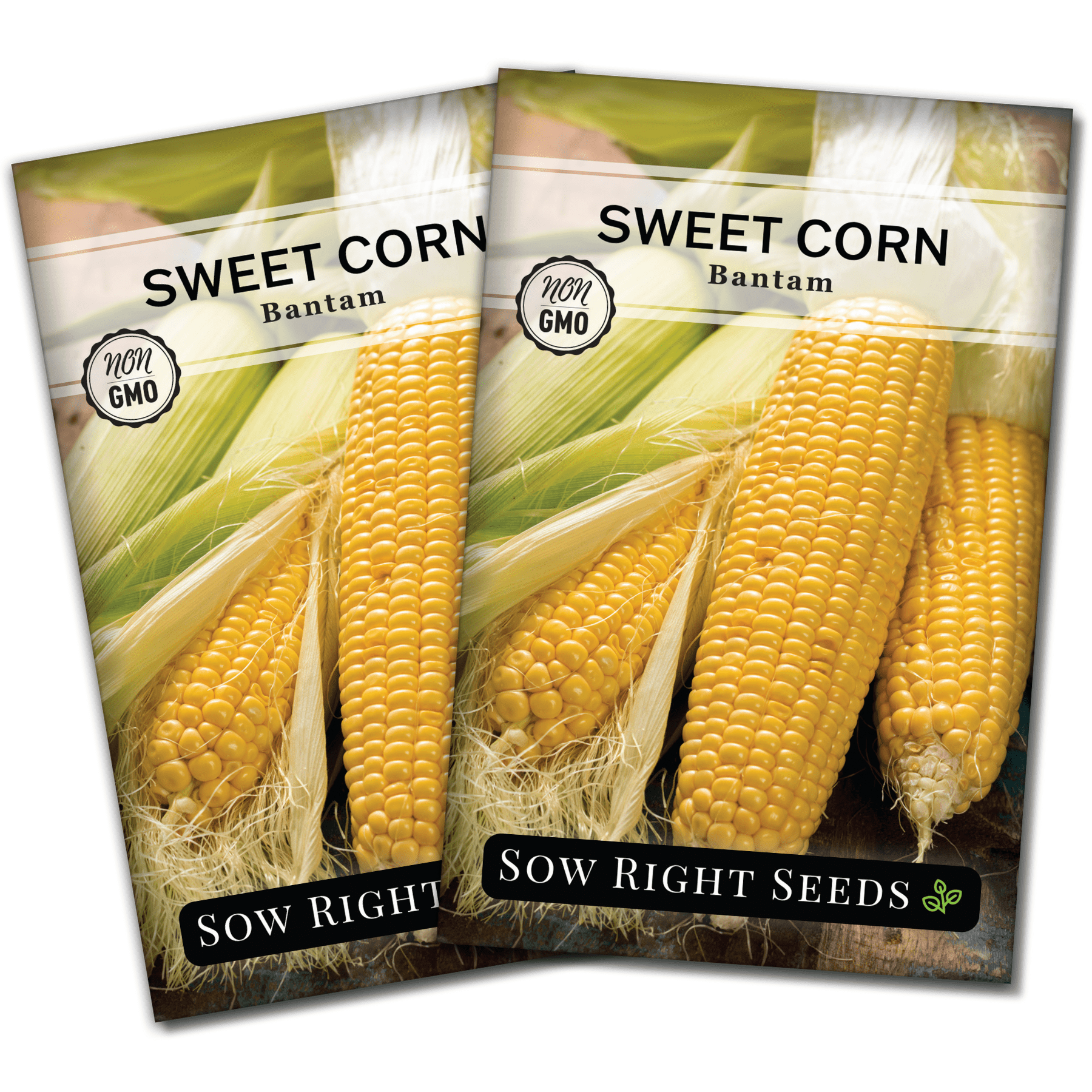 Organic Sweetcorn Seeds Ireland | Golden Bantam Corn Vegetable Seed
